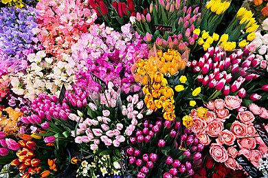 3DM速报：《真三8帝国》褒贬不一 《幻想三国志-天元异事录》公布